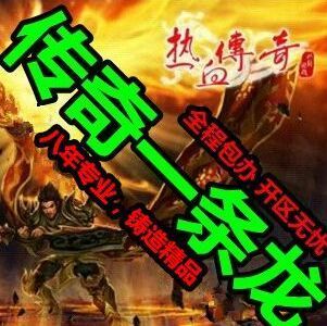 1174246 传奇技术人员