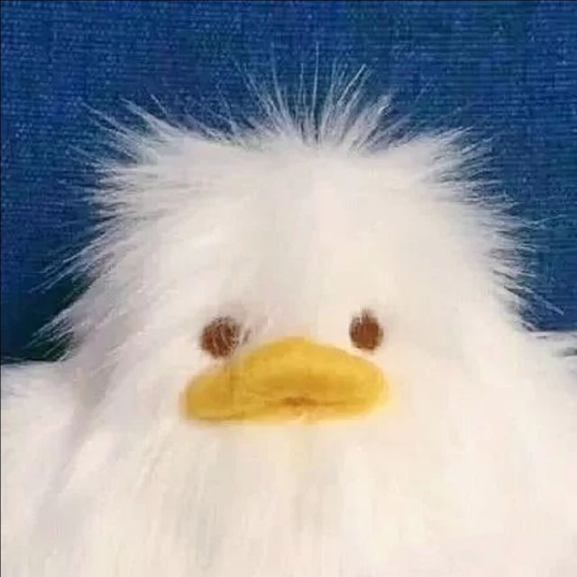 1174996 发呆的乌龟