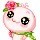 1175335 JANET