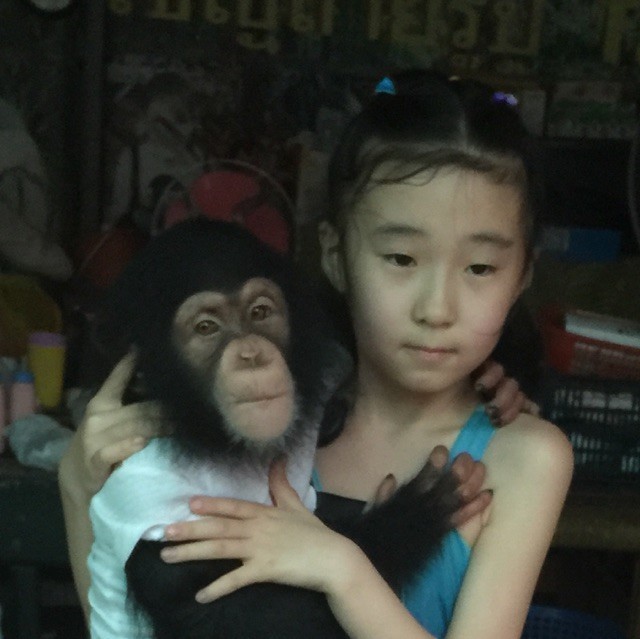 117551 美熙美丽