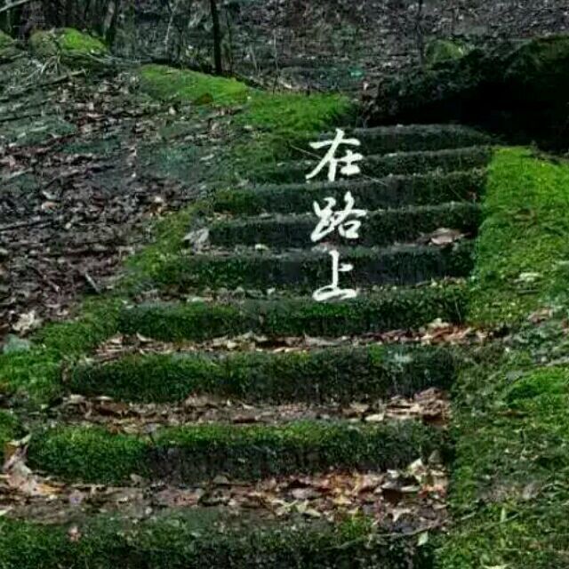 1175511 飞翔﹌