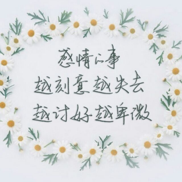1175740 ←红叶似火→