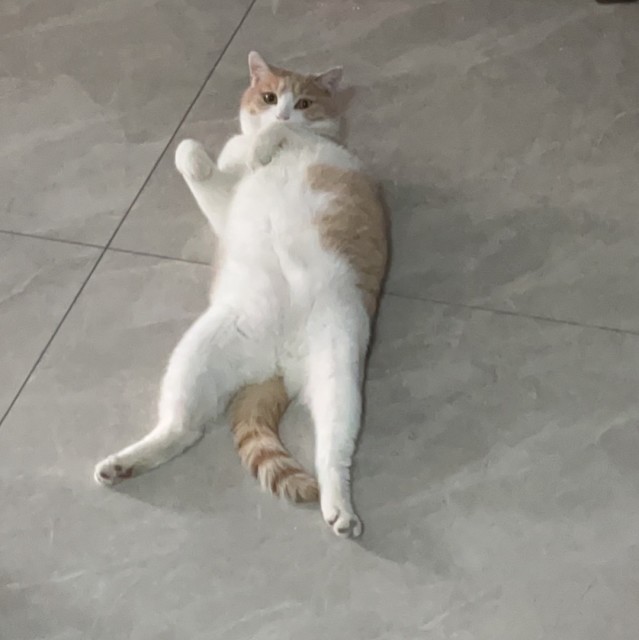 1176024 默
