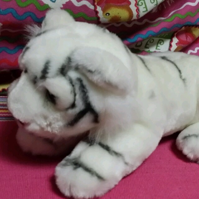 1176841 强哥