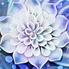 1177917  Crystal