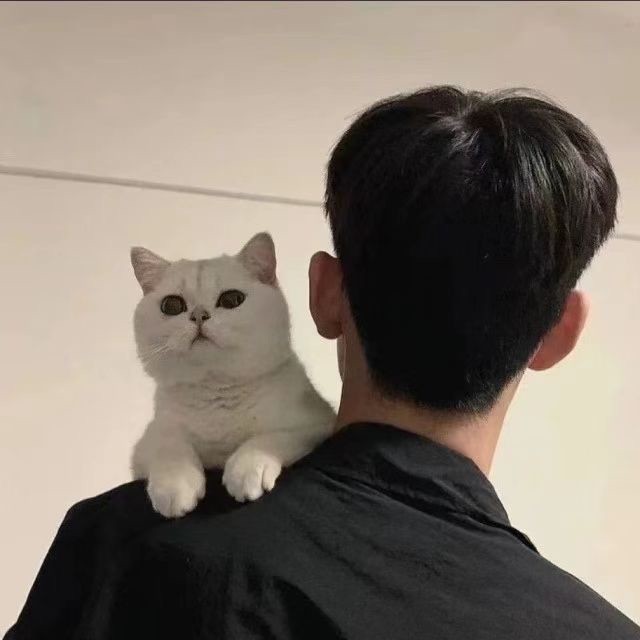1183921931 