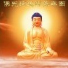 118458 东少