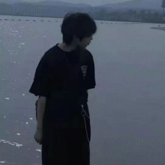 118644 追追追丶