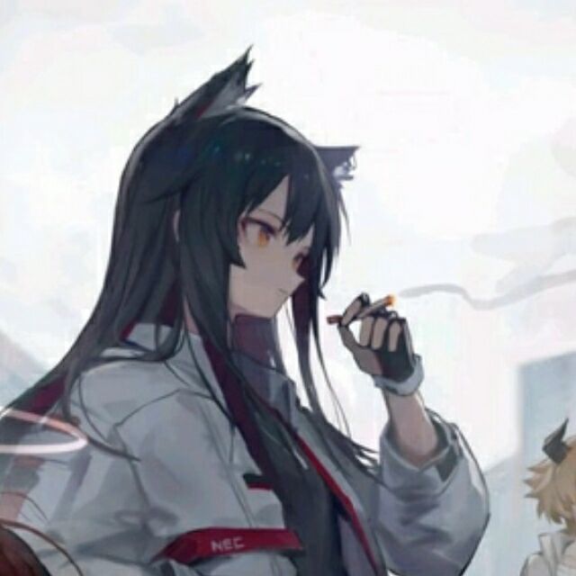 118799 远