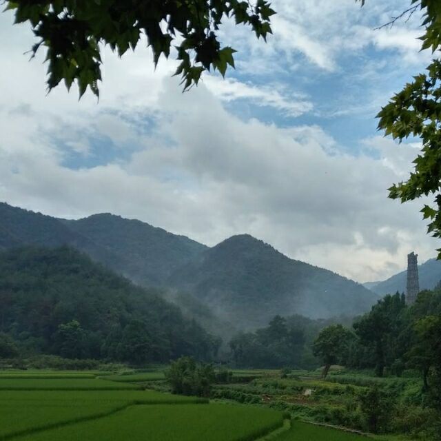 118805 有去有来