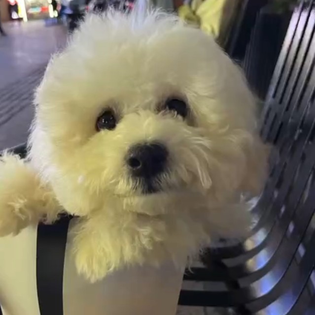 118985 欲潇七情