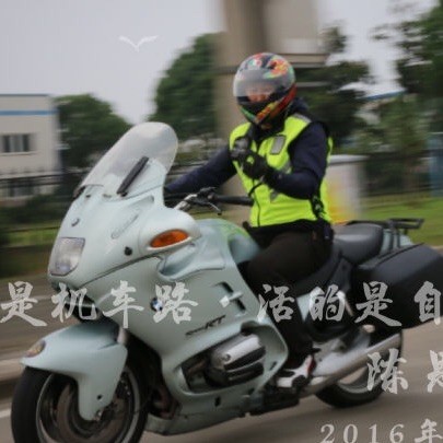 119122 骑猫巡逻的鼠