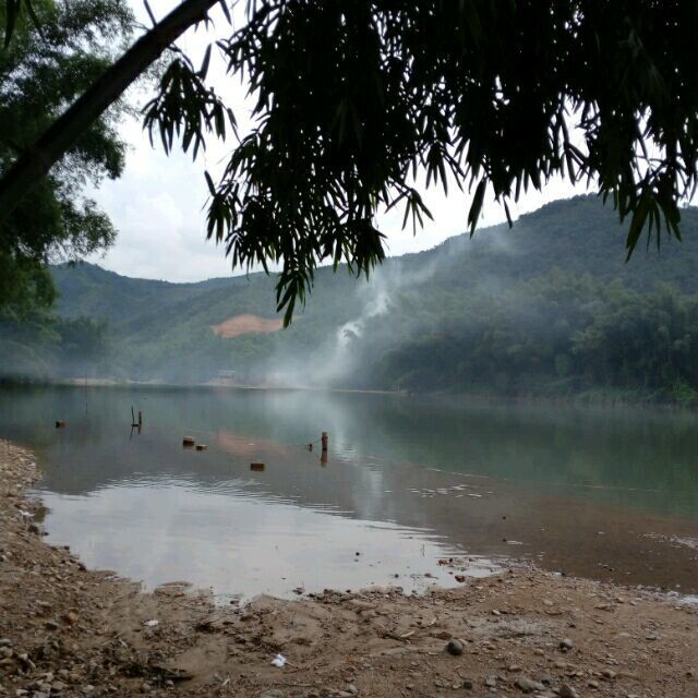 119123 Q_s＆杨