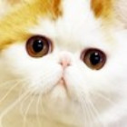 119124 ☆風№飄零☆