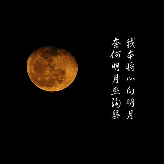 119348 红尘过客