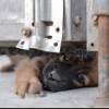 119553 如何终老是圆满