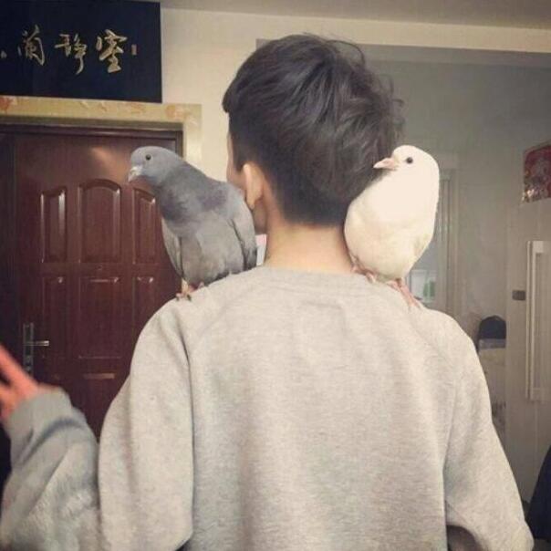 120013 饭特稀