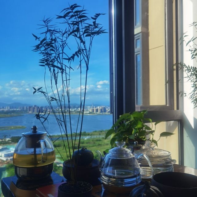 1200303 墨游