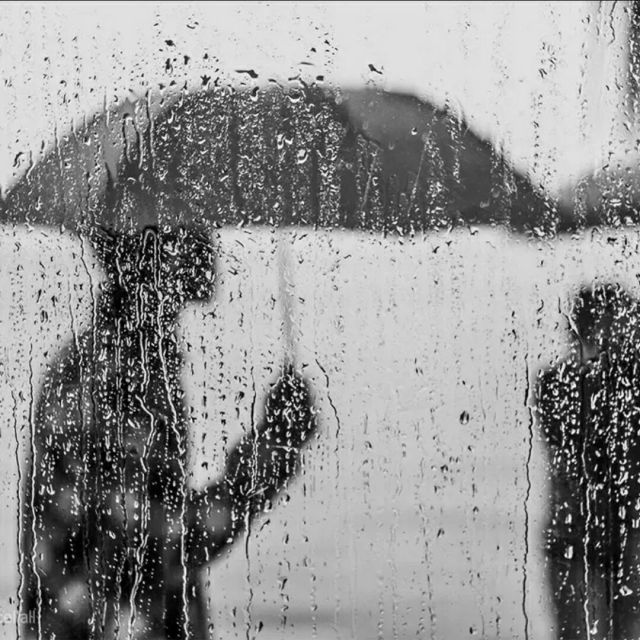 120069 雨龙