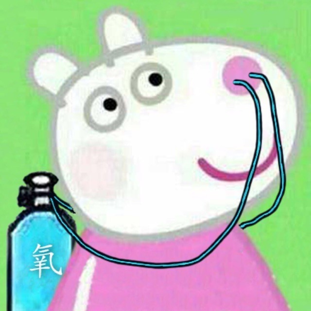 1200748 