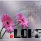 1200760 午夜的士