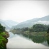 1201546 打不赢吐口水