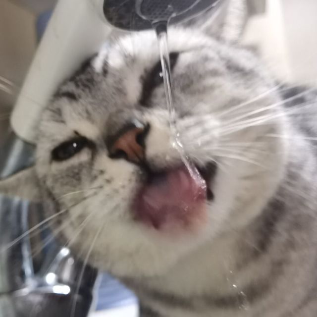 1202276 铅笔