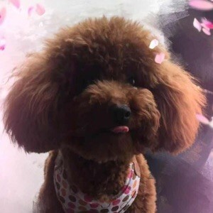 1202453 殇