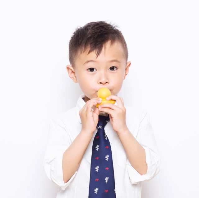 1202647 だ妖精在北極
