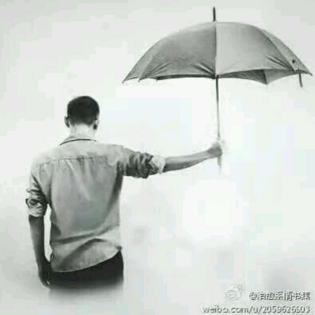 1203076 蜗牛。