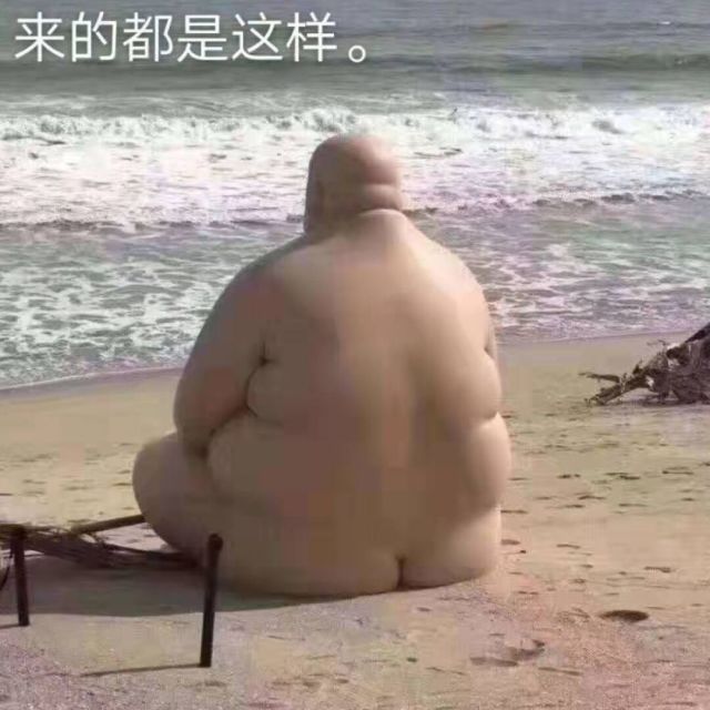 1203200 「宅侽傑傑」