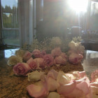 1203274 Ruby