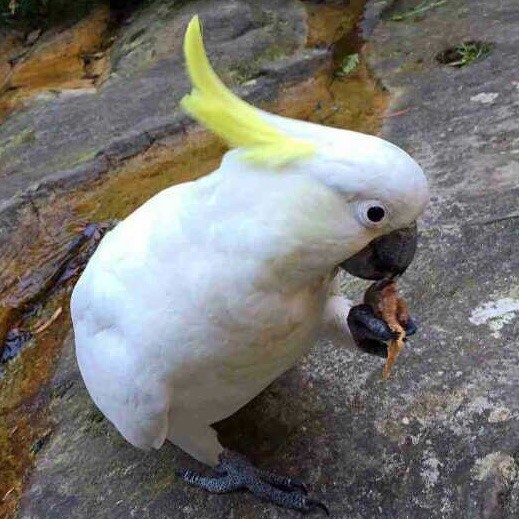 1203857 泽天医疗