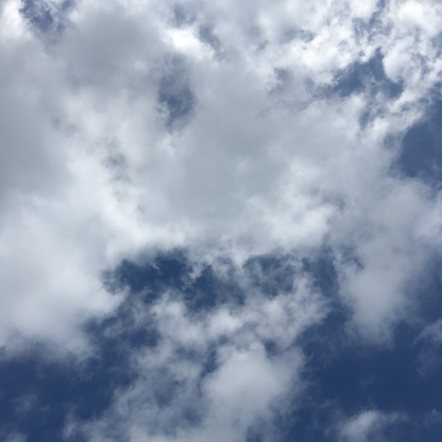 1204486 ‭