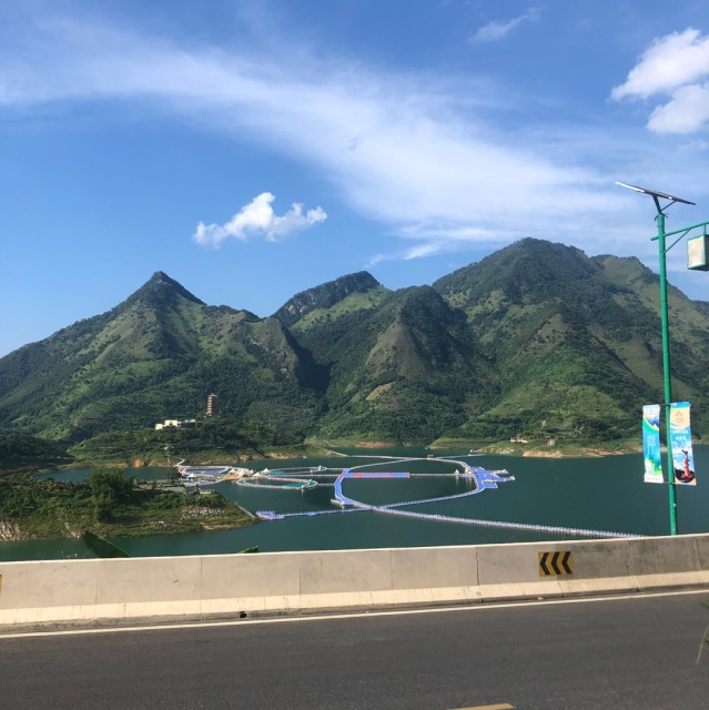 1204739 吸血鬼的日记