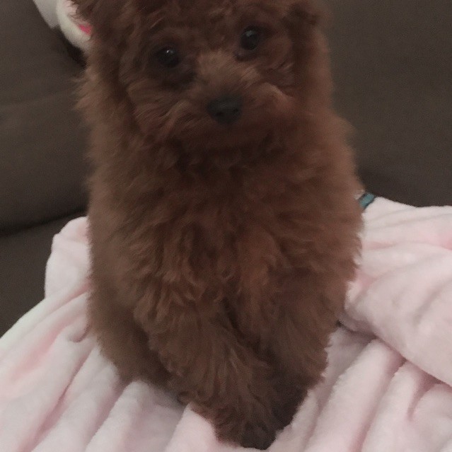 1204877 ￣s尜﹎鮭￣s