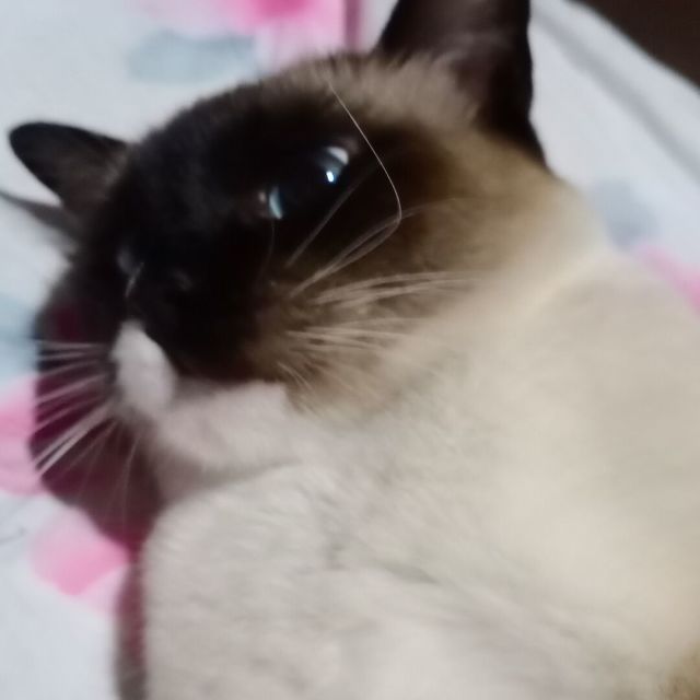 1205210 陌然浅笑°