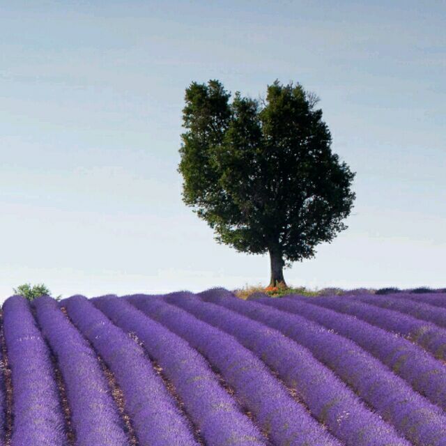 120569 痞痞