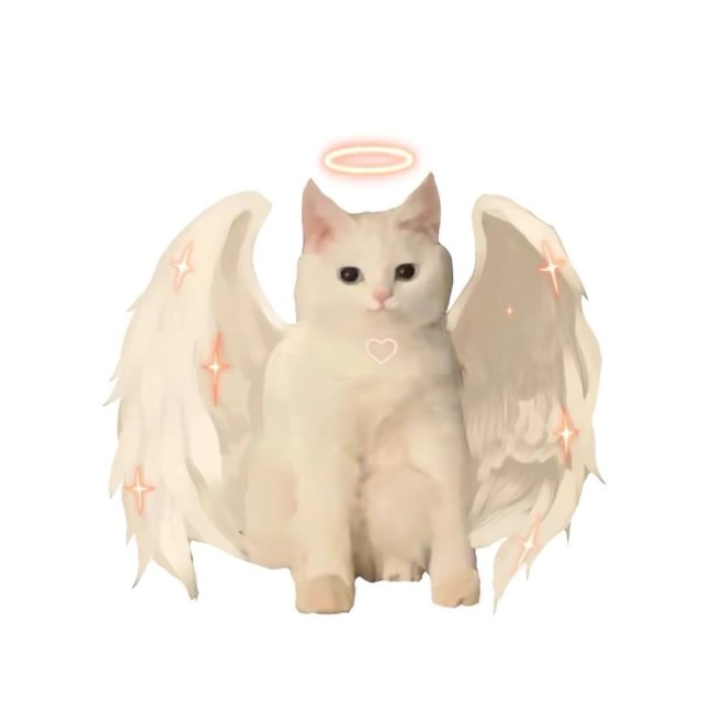 120829 退