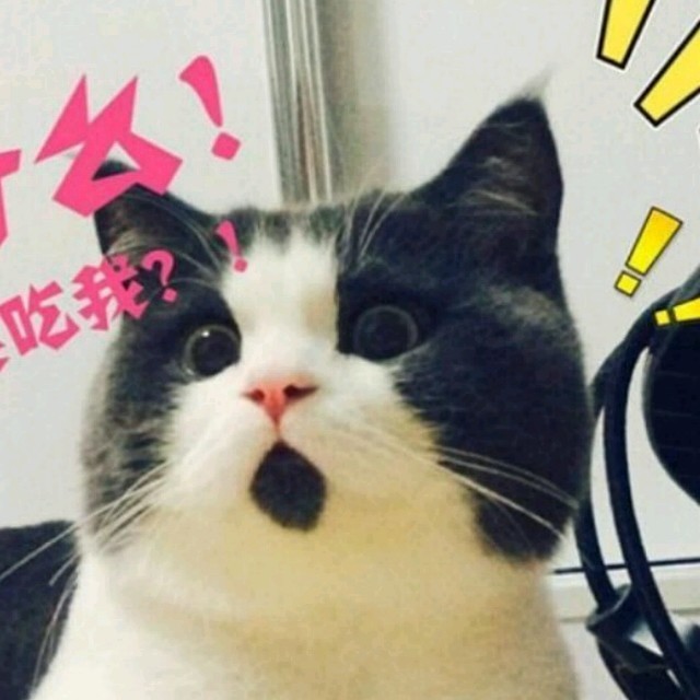 120846 石头