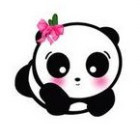 120964 宝兜