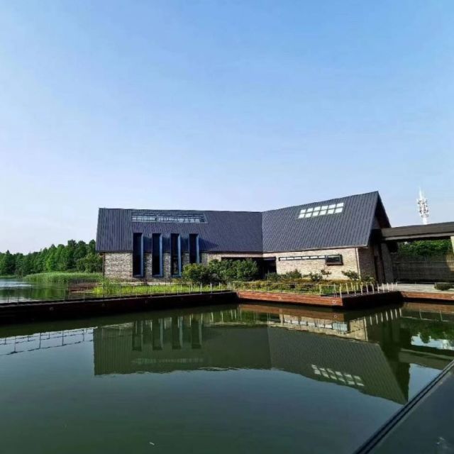 121086 老鼠公公
