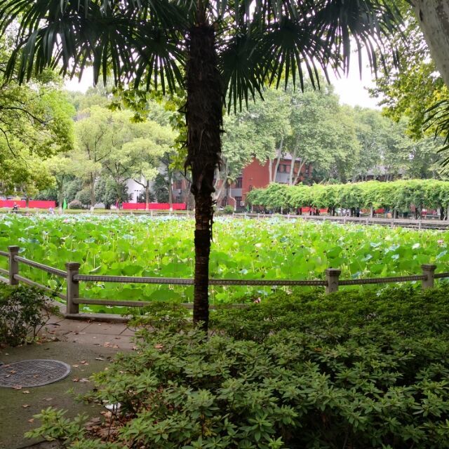 121122 大同西京文化博物馆