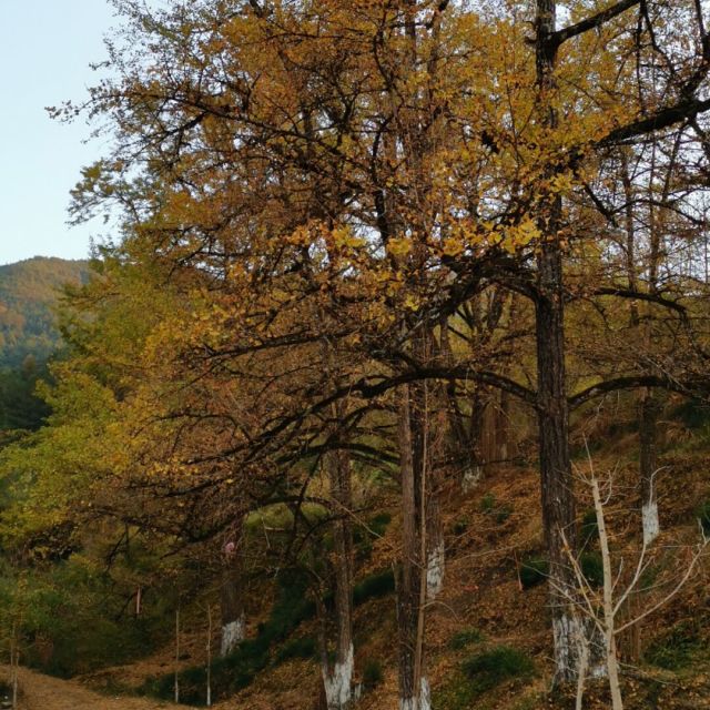 121133 痛并快乐着