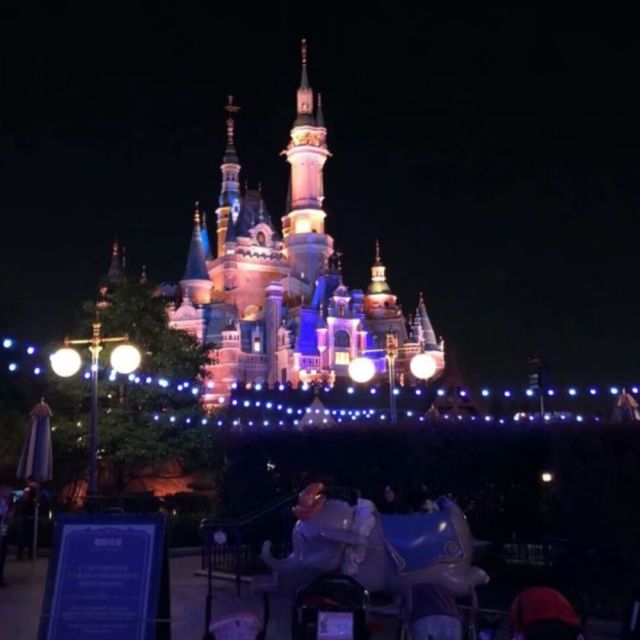 1213930015 你是风儿我是沙