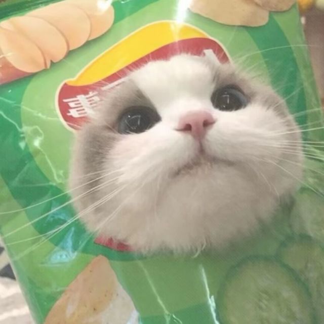 121978 ╛左籩←