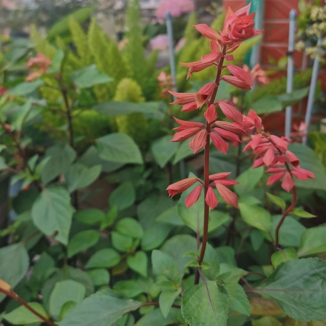 122225 范范