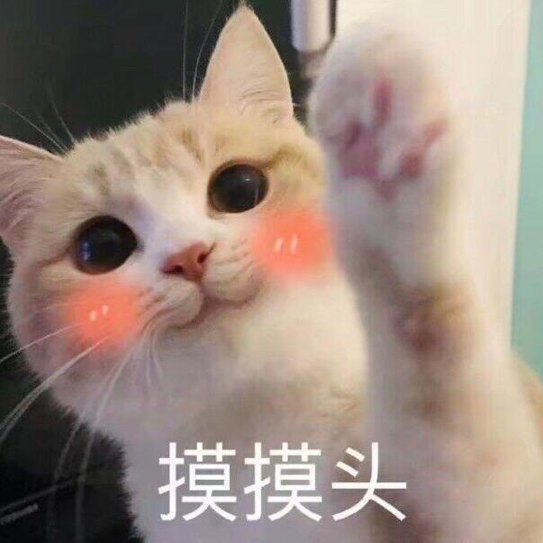 122557 冰冰姐@
