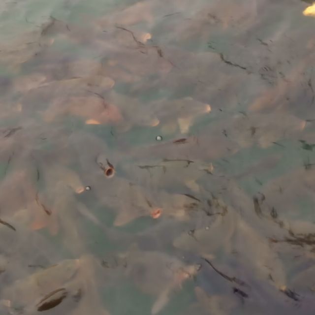12345945 向往