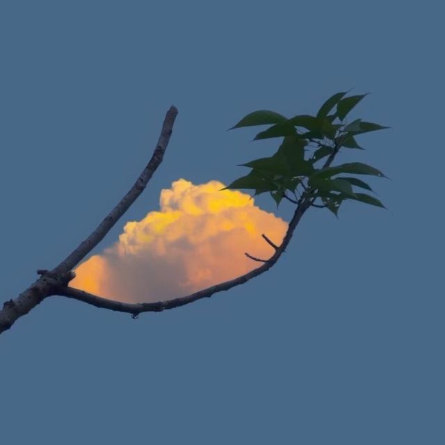 12346034 哈唦剋